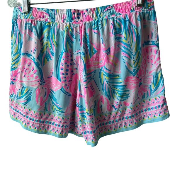 Lilly Pulitzer Pink and Blue Shorts - Picture 3 of 9